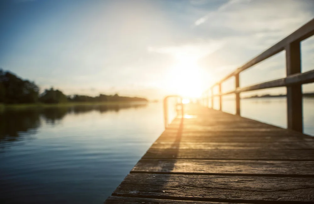 Markets & Investment Update - 01.12.25