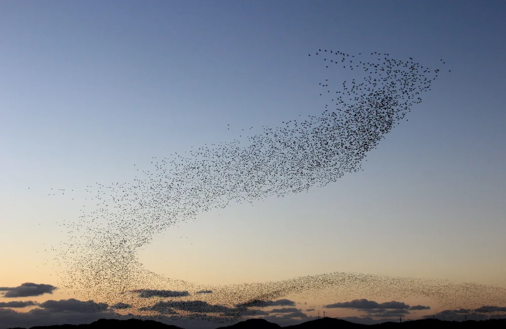 Recalibrating the path – Counterpoint July 2026